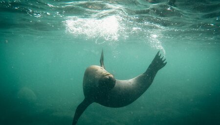 Galapagos Experience