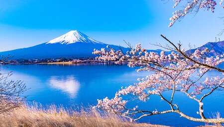 Southern Japan Experience