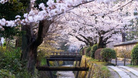 Japan: Koya-san & Kumano Kodo Trek
