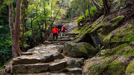 Japan: Koya-san & Kumano Kodo Trek