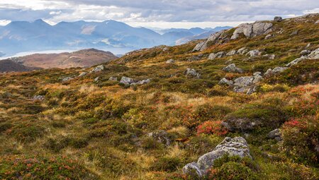 Northern Norway Explorer